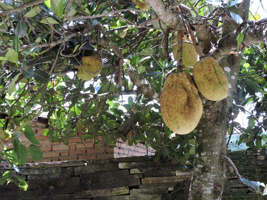 Pousada Casa Da Serra São Tomé das Letras Buitenkant foto